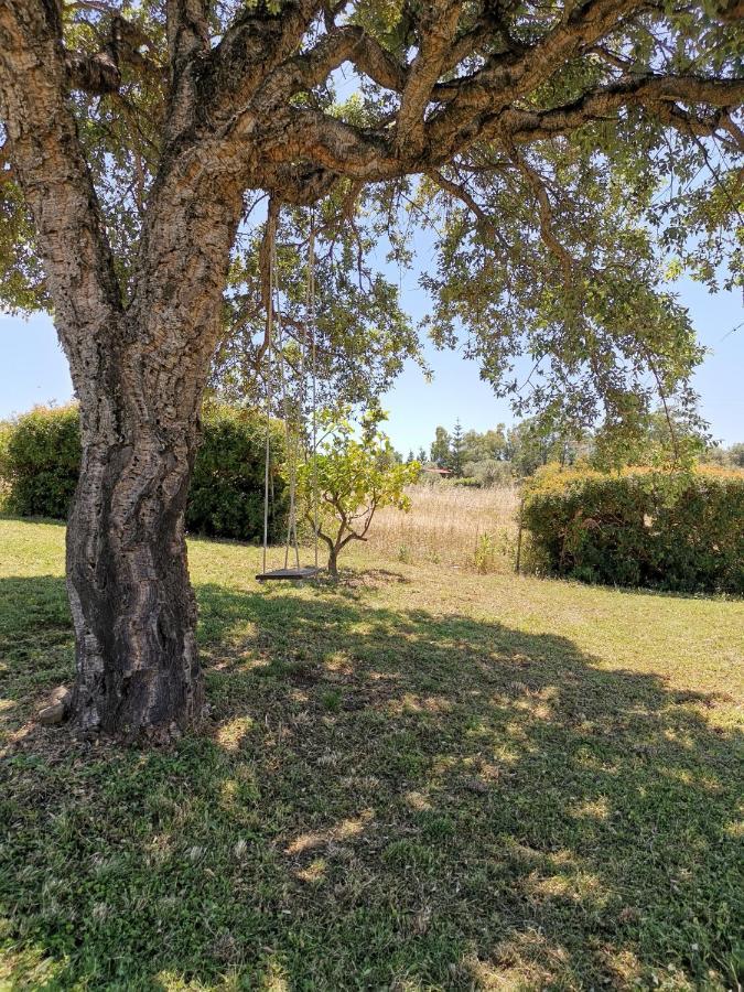 Home Garden Siniscola Dış mekan fotoğraf