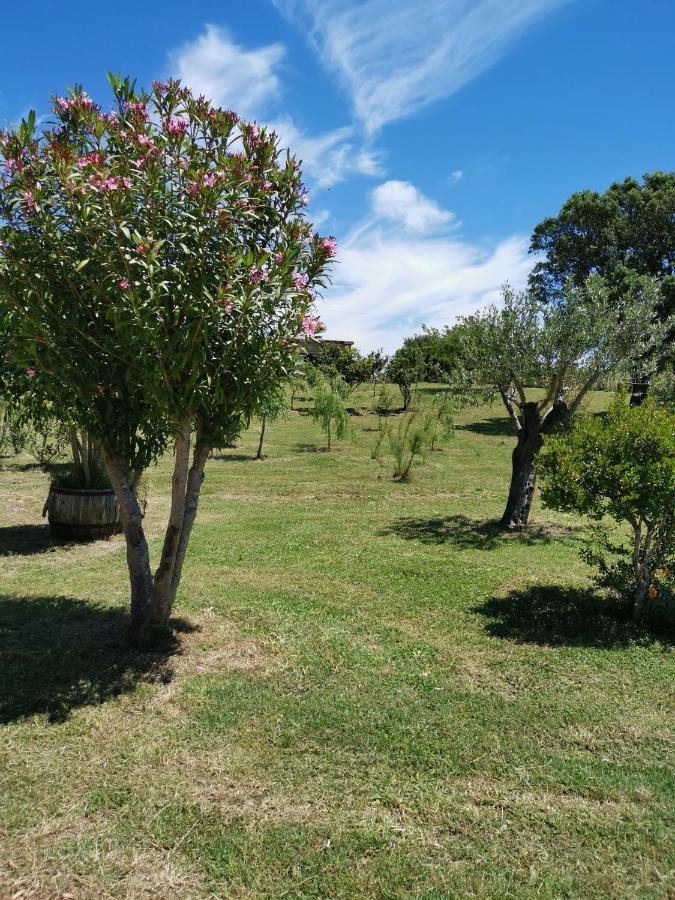 Home Garden Siniscola Dış mekan fotoğraf